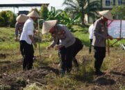 Dukung Program Indonesia Swasembada Pangan, Polres Rohul Gelar Penanaman Benih Jagung