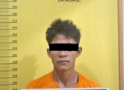 Curi Hp Temannya, Remaja Dibawah Umur Diamankan Polsek Tambusai Utara