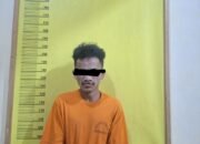 Gerak cepat Personil Polsek Tambusai Utara Ringkus pelaku Pencurian Dengan Kekerasan