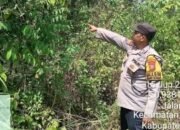 Musim Kemarau, Polsek Rambah Hilir Perketat Patroli Karhutla