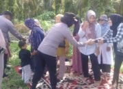 Kapolsek Bangkinang Kota Tanam Jagung di Bukit Sembilan: Polri Dukung Ketahanan Pangan