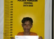 Polsek Pangean Ungkap Kasus Penyalahgunaan Narkotika di Desa Tanah Bekali