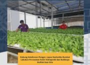 Dukung Program Akselerasi, Lapas Narkotika Rumbai Giatkan Pembinaan Melalui Hidroponik dan Bioflok