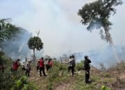 Aksi Sigap Kapolres Rohul: Kerahkan Seluruh Perwira Padamkan Api di Lokasi Karhutla