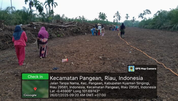 Tanam Jagung, Polsek Pangean Dorong Produktivitas Pertanian Desa