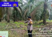 Polsek Rambah Hilir Intensifkan Patroli KARHUTLA untuk Cegah Kebakaran Hutan dan Lahan