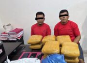 Dua Pria di Rambah Hilir Ditangkap Satres Narkoba Polres Rokan Hulu, 10.3 Kg Daun Ganja Kering dan 1 Unit Mobil Disita