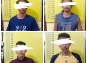 Polsek Kunto Darussalam Bekuk Empat Pelaku Pencurian Sawit di PT Ekadura