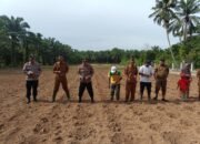 Kapolsek Rambah Hilir Hadiri Kegiatan Penanaman Jagung: Sinergi untuk Pangan Nasional