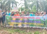Dukung Ketahanan Pangan, Kapolsek Tandun Pimpin Penanaman Jagung di Tapung Jaya