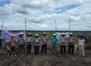 Ketahanan Pangan Jadi Prioritas, Kapolsek Bonai Darussalam Pimpin Penanaman Jagung