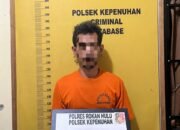 Kapolsek kepenuhan Berhasil Bongkar Kasus Pencurian Brondolan Sawit di PT. PSA, Satu Pelaku Diamankan