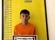 Setubuhi anak Dibawah umur, seorang pemuda Ditangkap Polsek Tambusai Utara 