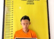 Polsek Tambusai Utara Bekuk Pengedar Sabu di Simpang Harapan, 14 Paket Diamankan