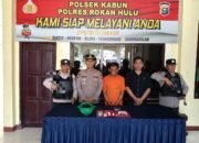 Polsek Kabun Gerebek Bandar Narkoba, Amankan 11,79 Gram Daun Ganja Siap Edar