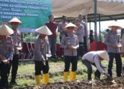 Polres Rokan Hulu Gelar Penanaman Jagung Serentak Kuartal IV Dukung Swasembada Pangan Nasional
