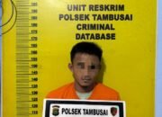 Pelaku Pencurian Sawit Tertangkap Basah, Polsek Tambusai Amankan 72 Tandan