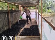 Dukung Green Policing, Polsek Rambah pantau pertumbuhan Ribuan Bibit Pohon Di koto Tinggi