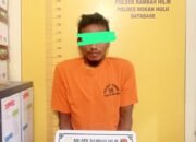 Polsek Rambah Hilir Bertindak Cepat, Amankan Pelaku Pencurian Sawit di Desa Rambah Hilir Timur