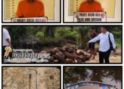 Aksi Pencurian Sawit Terungkap, Dua Pelaku Diamankan Polsek Bonai Darussalam