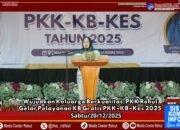 Wujudkan Keluarga Berkualitas, PKK Rohul Gelar Pelayanan KB Gratis PKK–KB–Kes 2025