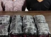 Polda Riau Gagalkan Peredaran Ekstasi Rp14,1 Miliar, Dua Tersangka Diamankan