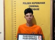 Tertangkap Basah Angkut Sawit Curian, Residivis Diserahkan Warga ke Polsek Kepenuhan