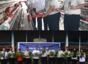 Panen Raya Nasional Kemenimipas, Lapas Pasir Pangaraian Hasilkan Sayur dan Telur Ayam dari Program Pembinaan