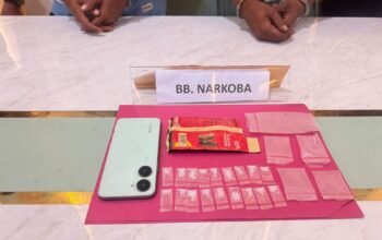Tak Berkutik, Dua Pengedar Sabu Dibekuk Polsek Tambusai Utara