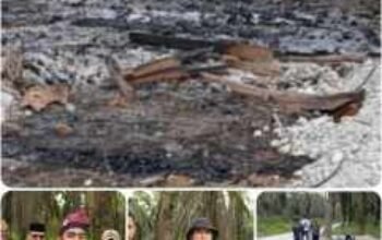 Kericuhan di Eks PT Torganda, Ratusan OTK Hanguskan Pos Jaga