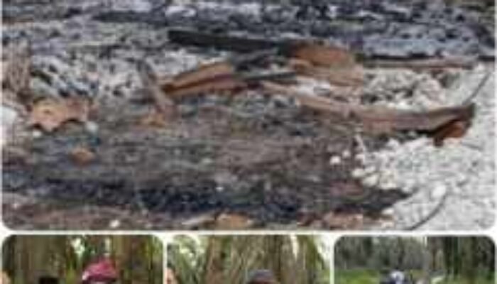 Kericuhan di Eks PT Torganda, Ratusan OTK Hanguskan Pos Jaga