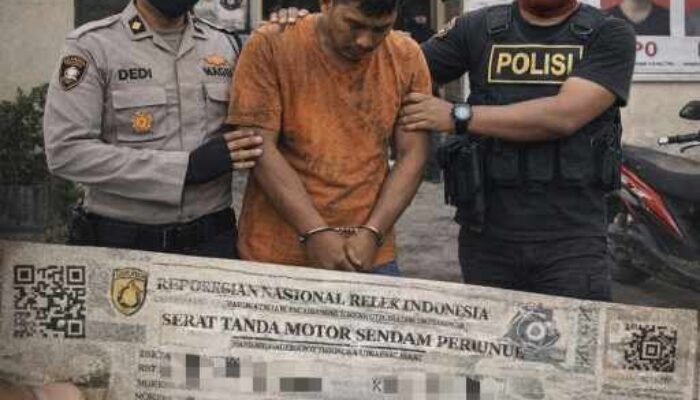 Tim Reskrim Polsek Tambusai Utara Tangkap Pelaku Curanmor, Satu Orang Diamankan, Dua Pelaku Lainnya DPO