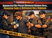 Undercover Buy Polsek Kepenuhan Berbuah Hasil, Pengedar Sabu di Kepenuhan Hulu Dibekuk