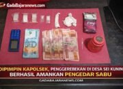 Dibawah komando kapolsek Tandun, seorang pengedar sabu berhasil di Ringkus di Desa sei Kuning