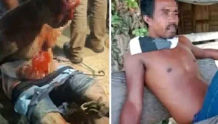 Kasus Persetubuhan Anak di Kunto Darussalam, Pelaku Diamankan Setelah Sempat Diamuk Warga