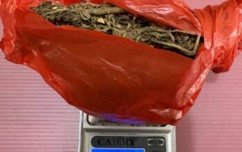 Simpan Ganja di Kompor dan Dinding, Pria 41 Tahun Ditangkap Polsek Rambah Hilir