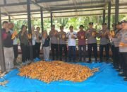 Polsek Rambah Bersama Petani Sukses Panen 4 Ton Jagung, Perkuat Ketahanan Pangan 2026