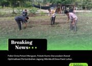 Polisi Cinta Petani Menguat, Polsek Kunto Darussalam Kawal Optimalisasi Pertumbuhan Jagung Hibrida di Desa Pasir Luhur