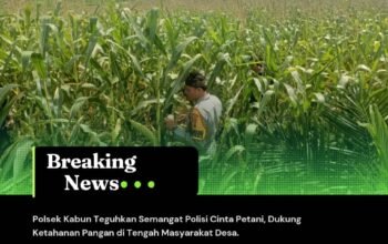 Polsek Kabun Teguhkan Semangat Polisi Cinta Petani, Dukung Ketahanan Pangan di Tengah Masyarakat Desa