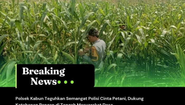 Polsek Kabun Teguhkan Semangat Polisi Cinta Petani, Dukung Ketahanan Pangan di Tengah Masyarakat Desa