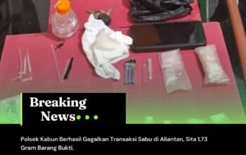 Polsek Kabun Berhasil Gagalkan Transaksi Sabu di Aliantan, Sita 1,73 Gram Barang Bukti