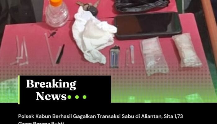 Polsek Kabun Berhasil Gagalkan Transaksi Sabu di Aliantan, Sita 1,73 Gram Barang Bukti