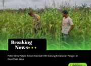 Polisi Cinta Petani, Polsek Rambah Hilir Dukung Ketahanan Pangan di Desa Pasir Jaya