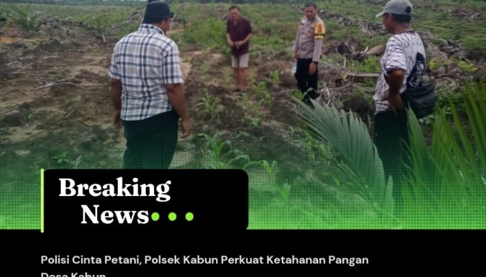 Polisi Cinta Petani, Polsek Kabun Perkuat Ketahanan Pangan Desa Kabun