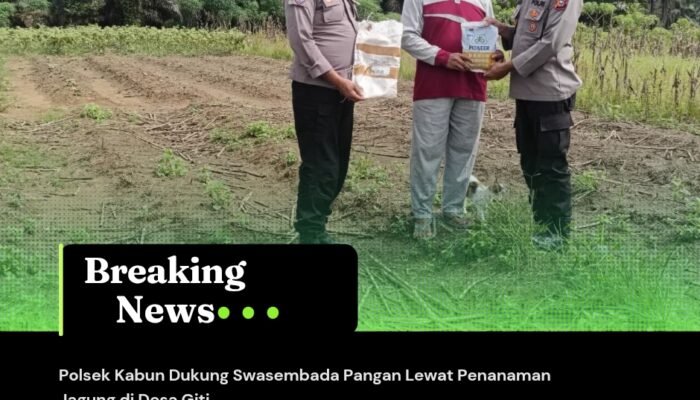 Polsek Kabun Dukung Swasembada Pangan Lewat Penanaman Jagung di Desa Giti