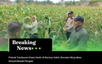 Polsek Tambusai Utara Hadir di Rantau Sakti, Bersatu Wujudkan Swasembada Pangan