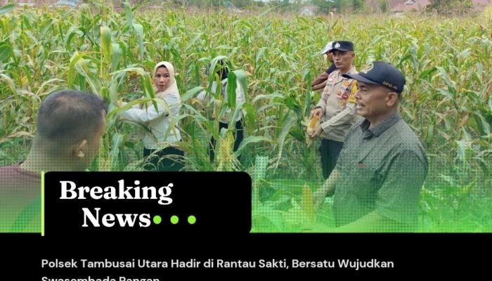 Polsek Tambusai Utara Hadir di Rantau Sakti, Bersatu Wujudkan Swasembada Pangan