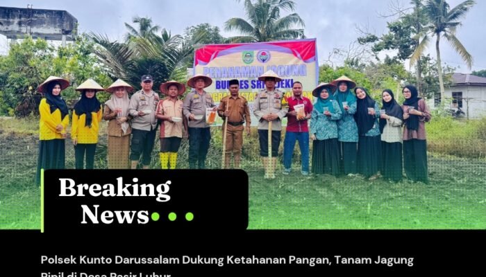 Polsek Kunto Darussalam Dukung Ketahanan Pangan, Tanam Jagung Pipil di Desa Pasir Luhur