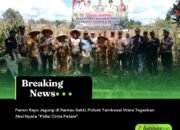 Panen Raya Jagung di Rantau Sakti, Polsek Tambusai Utara Tegaskan Aksi Nyata “Polisi Cinta Petani” 