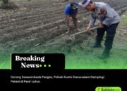 Dorong Swasembada Pangan, Polsek Kunto Darussalam Dampingi Petani di Pasir Luhur